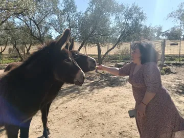 Eine Besucherin streichelt einen Esel