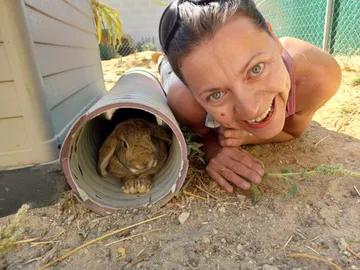 Eine Freiwillige lächelt neben einer Röhre, in der ein Kaninchen ruht