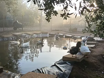 Der Vogelsee bei Sonnenaufgang
