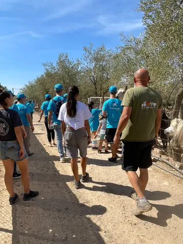 Eine Gruppe in blauen T-Shirts geht den Weg des Lebenshofs entlang
