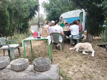 Essen im Freien während eines Besuchs