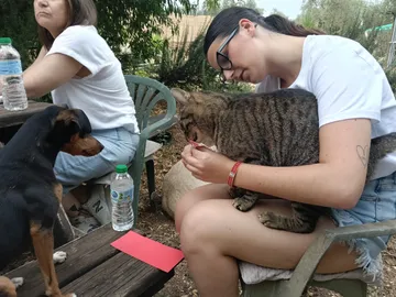 Eine Besucherin mit einer Katze auf dem Schoß