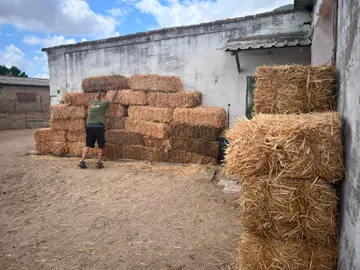 Hay bales stacked next to the barn