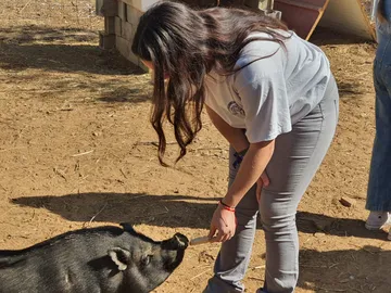 Eine Besucherin streichelt ein Ferkel