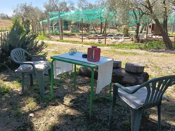 Der Tischbereich im Garten