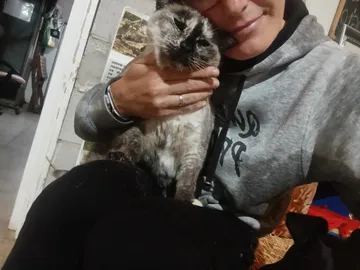 Eine Freiwillige umarmt die Katze Maguy