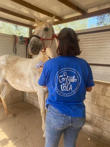 Eine Freiwillige im T-Shirt des Lebenshofs neben einem Pferd