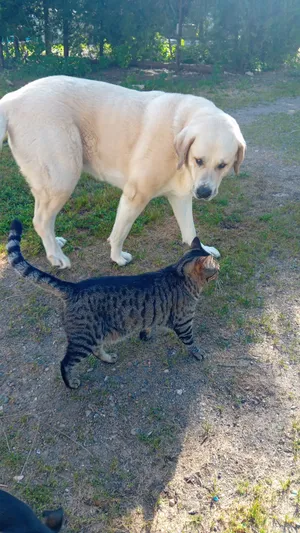 Carmen und Simón, Freunde auf dem Lebenshof