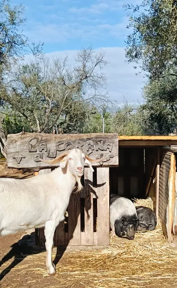 Lola y Reyes en el refugio (foto 2)