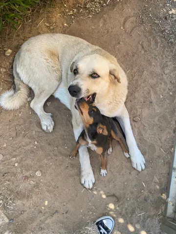 Carmen y Winie en el refugio (foto 2)