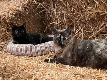 Cloe y Maguy en el refugio (foto 2)