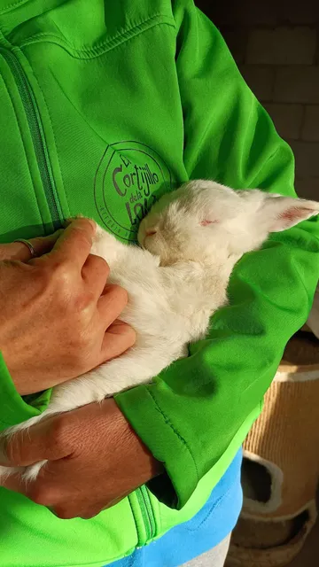 Roger und Ciro auf dem Lebenshof (Foto 3)