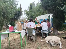 Group of visitors at outdoor tables with a female dog lying at their feet